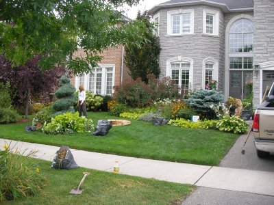 the front garden