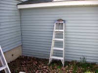 robin's nest on a ladder 
