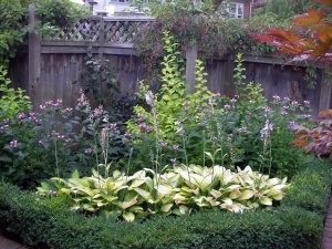 the front garden