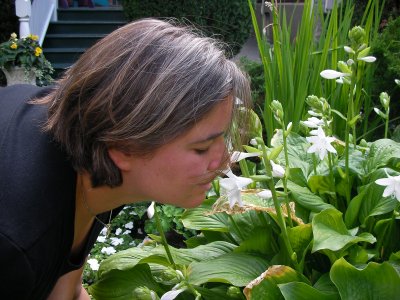 Me smelling the Hosta