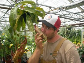 Mathew kissing a Pitcher Plant