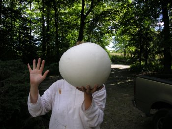 Natalie with a huge puffball